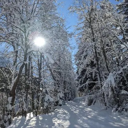 L'ilet Ensoleille /sunny Island Шале