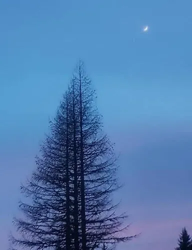 L'ilet Ensoleille /sunny Island Шале *