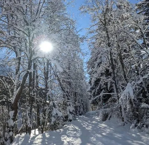 L'ilet Ensoleille /sunny Island Шале